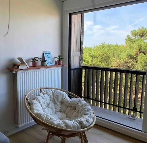 Grand T2 A 150m De La Plage Apartman Seignosse