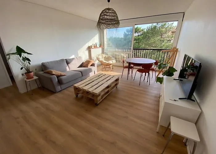 Grand T2 A 150m De La Plage Seignosse